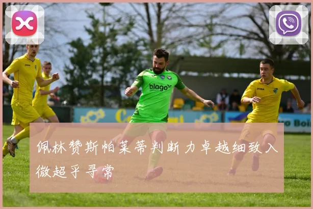 佩林赞斯帕莱蒂判断力卓越细致入微超乎寻常