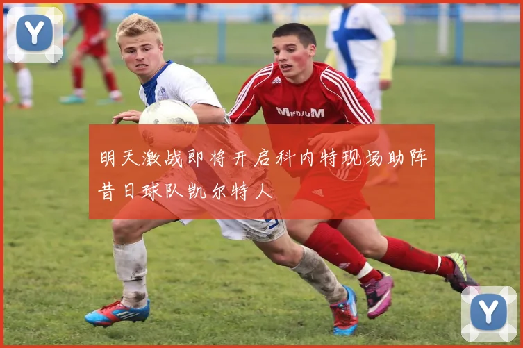 明天激战即将开启科内特现场助阵昔日球队凯尔特人