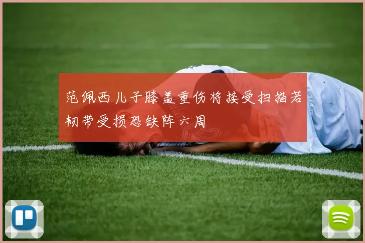 范佩西儿子膝盖重伤将接受扫描若韧带受损恐缺阵六周