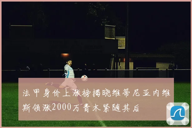 法甲身价上涨榜揭晓维蒂尼亚内维斯领涨2000万青木紧随其后